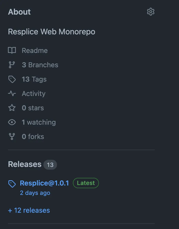 GitHub Repo Release Section